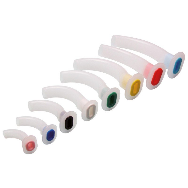 CANULA GUEDEL JGO C/6 (437)