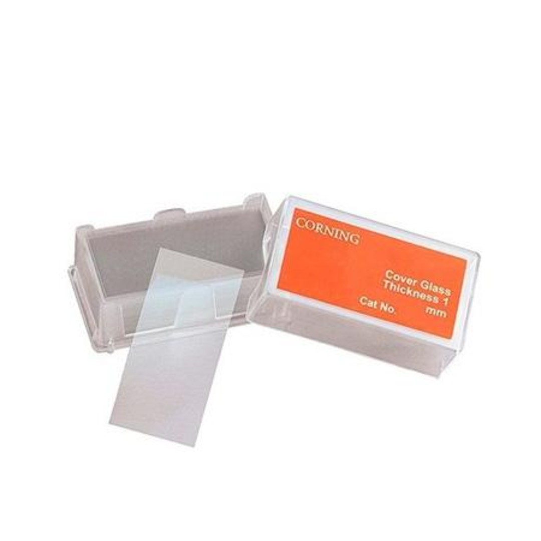 CUBRE OBJETOS DE 24 X 60 MM. C/100 2935